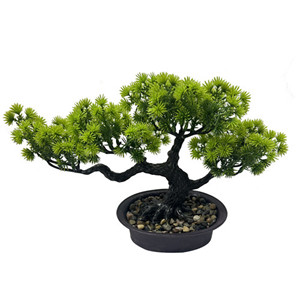 305001736056-galerias el triunfo