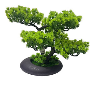 305001736057-galerias el triunfo