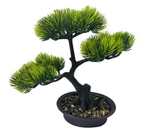 305001736059-galerias el triunfo