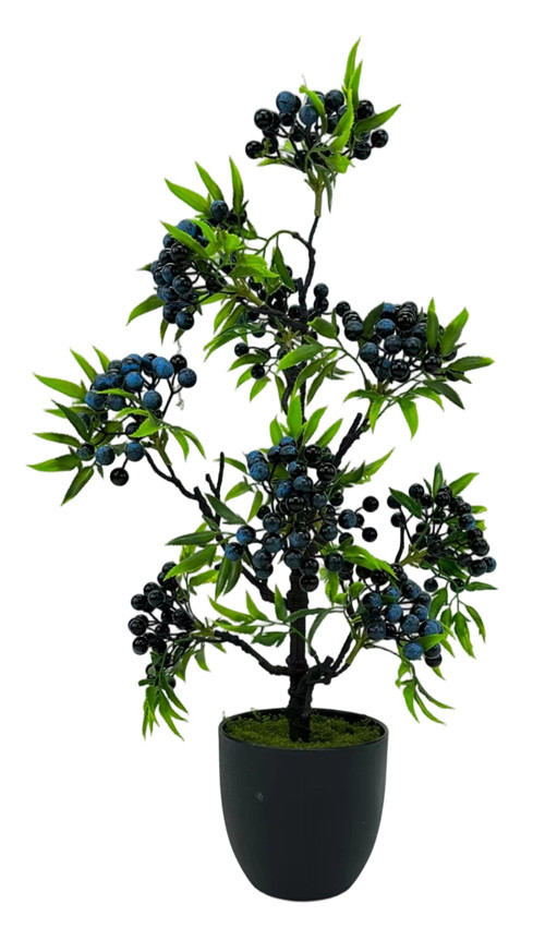 305001736750-galerias el triunfo