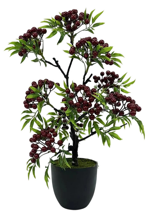 305001736751-galerias el triunfo