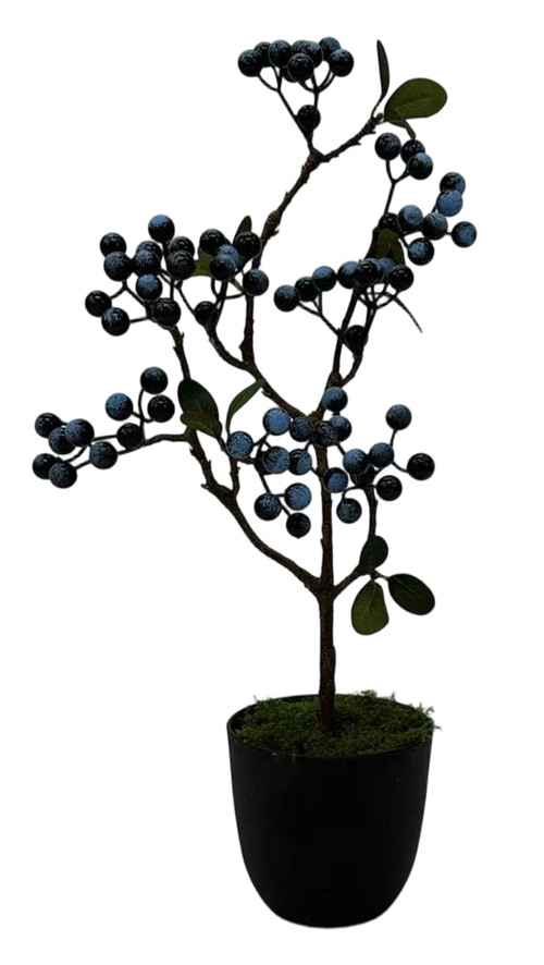 305001736752-galerias el triunfo