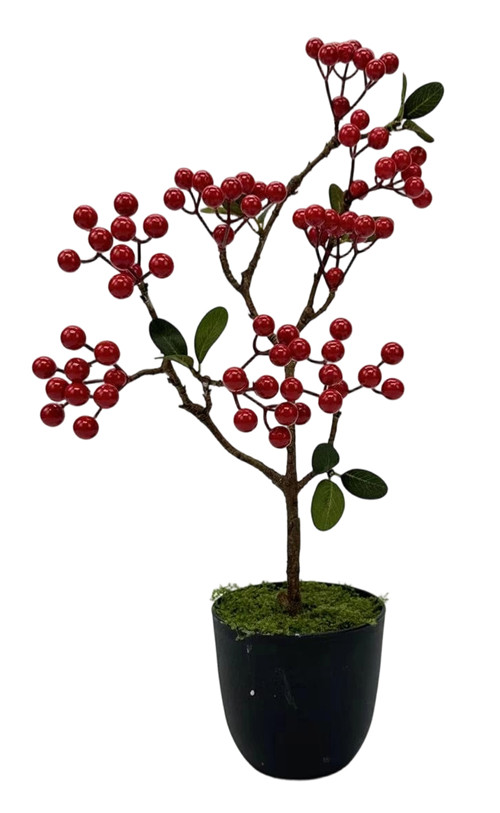 305001736753-galerias el triunfo