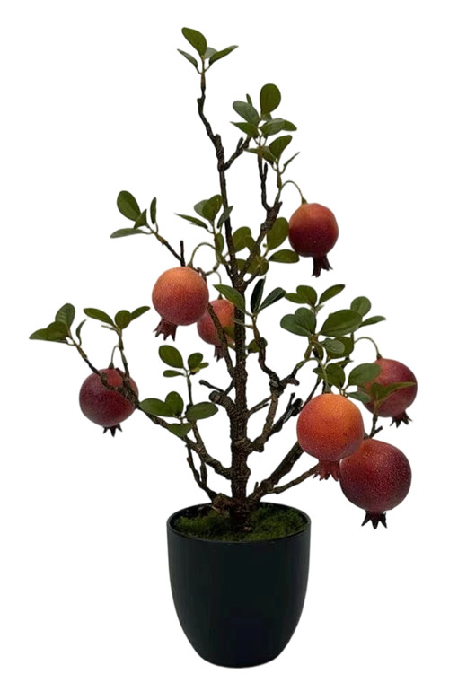 305001736754-galerias el triunfo