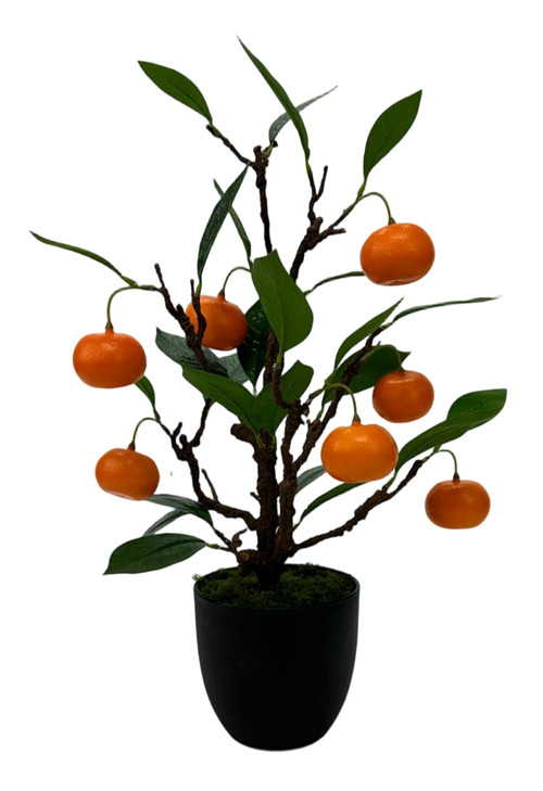 305001736756-galerias el triunfo