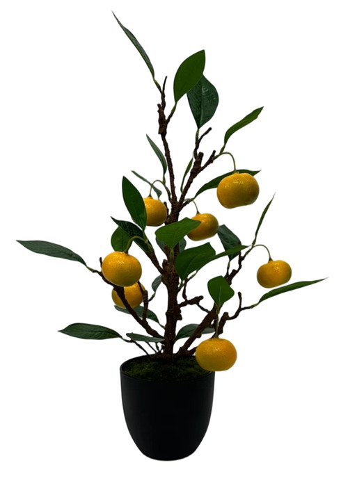 305001736757-galerias el triunfo