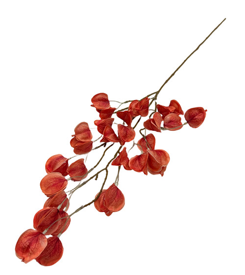 305001736764-galerias el triunfo