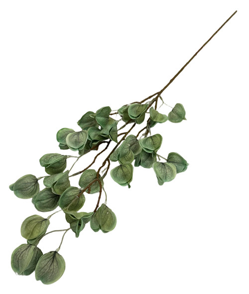 305001736766-galerias el triunfo