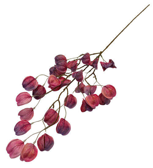 305001736767-galerias el triunfo