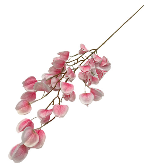 305001736768-galerias el triunfo