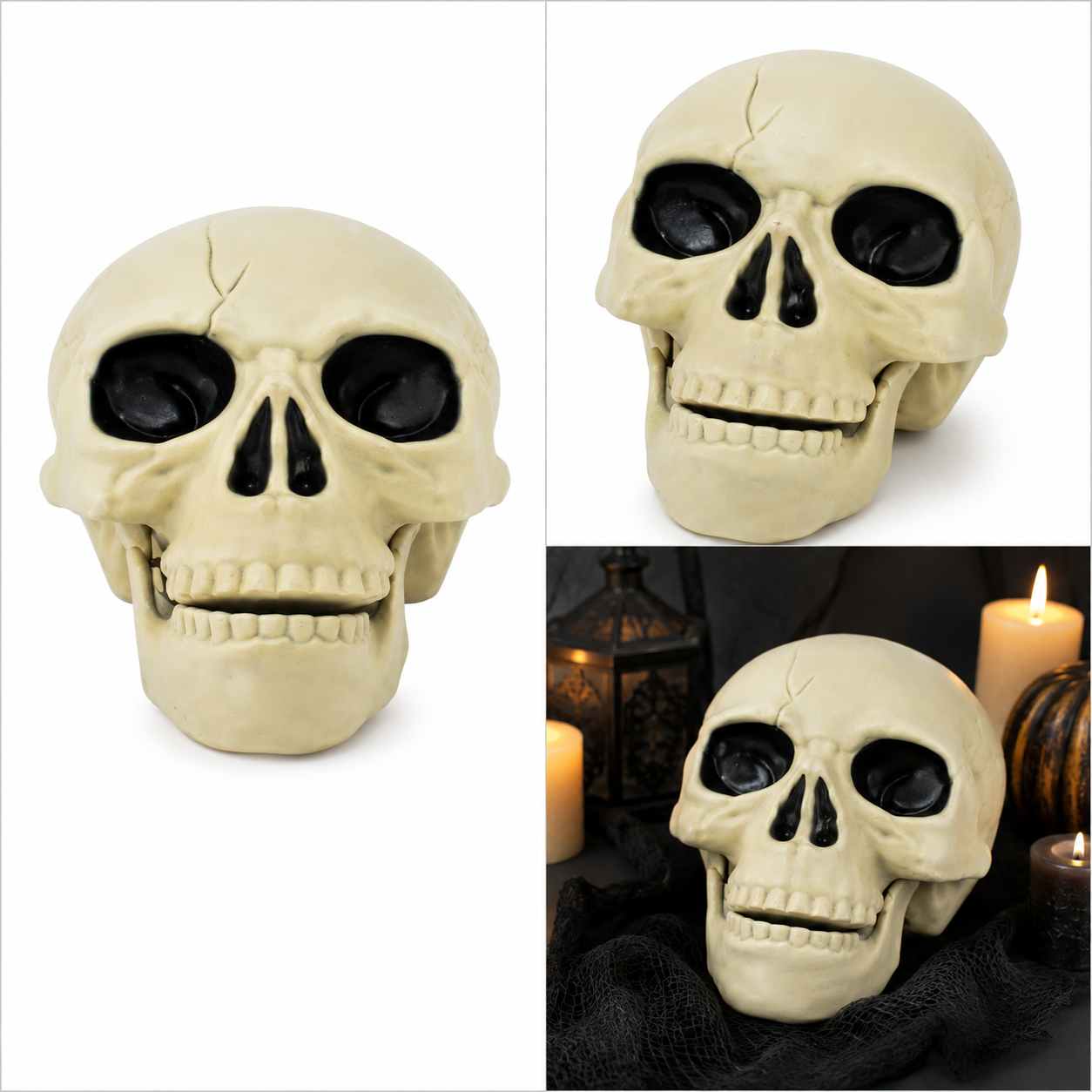 Cráneo Decorativo de Colección