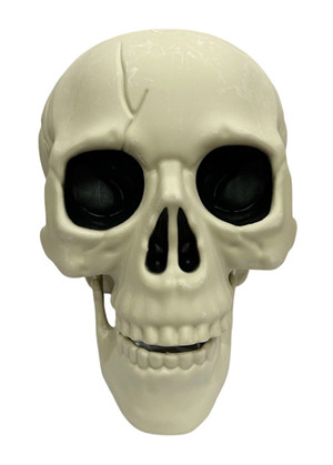 305001736773-galerias el triunfo