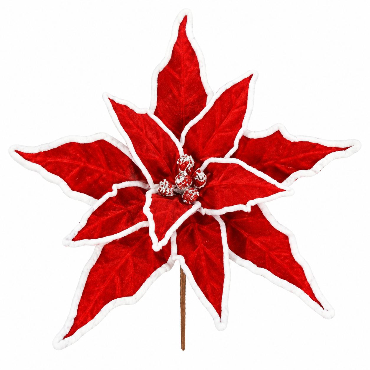 Pick de Nochebuena Roja con Borde Blanco – Galerías el Triunfo