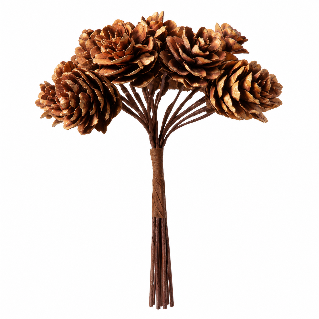 Pick de Mini Piñas Naturales – Galerías el Triunfo