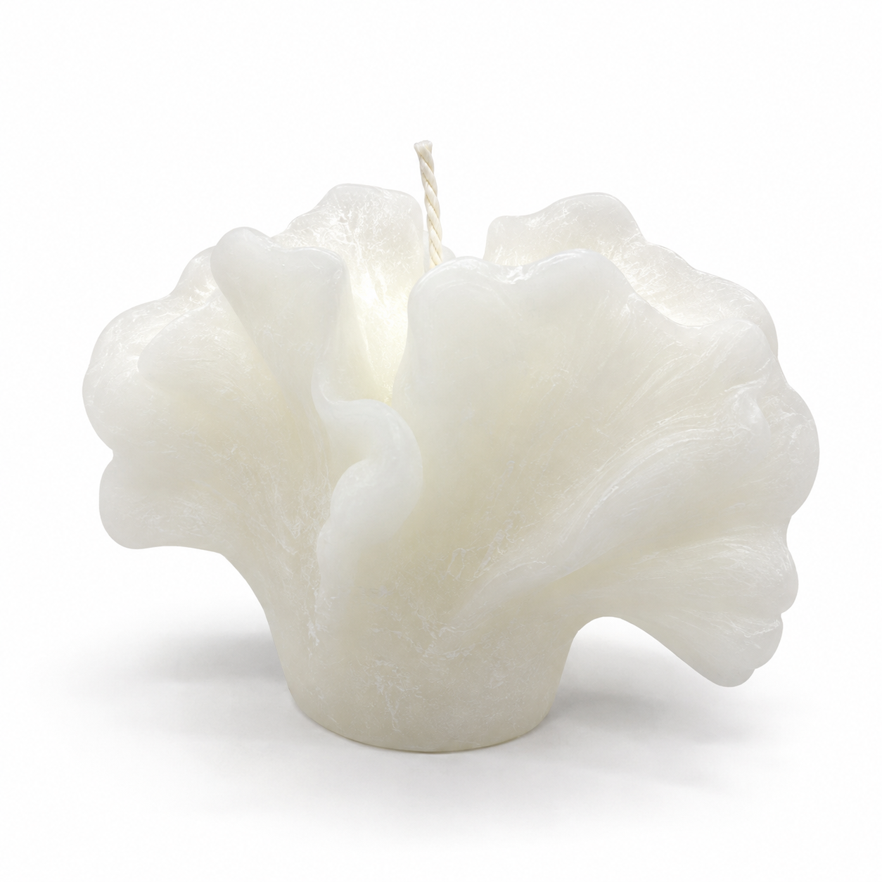 Vela Coral Abanico Blanco – Galerías el Triunfo
