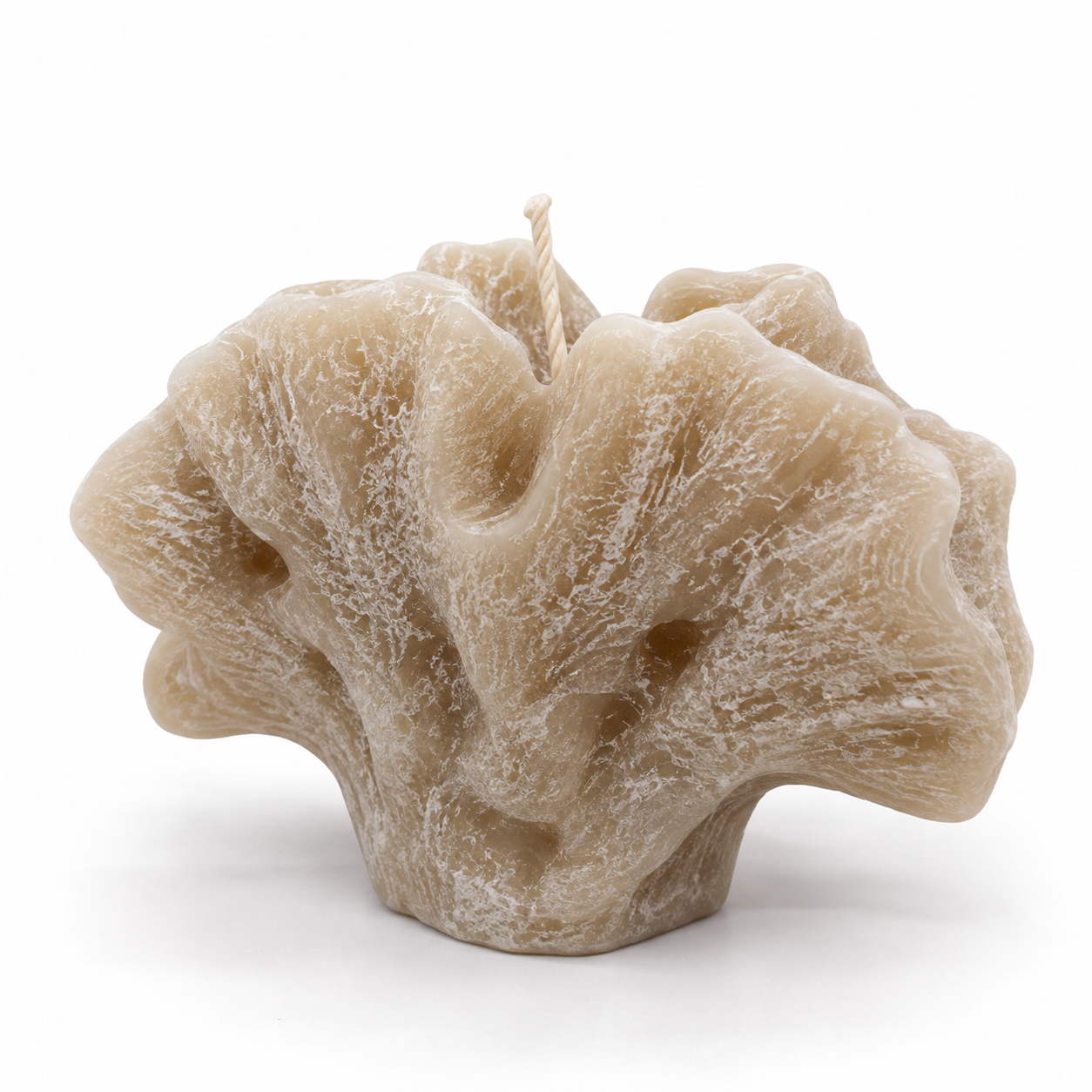 Vela Coral Abanico Gris Perla – Galerías el Triunfo