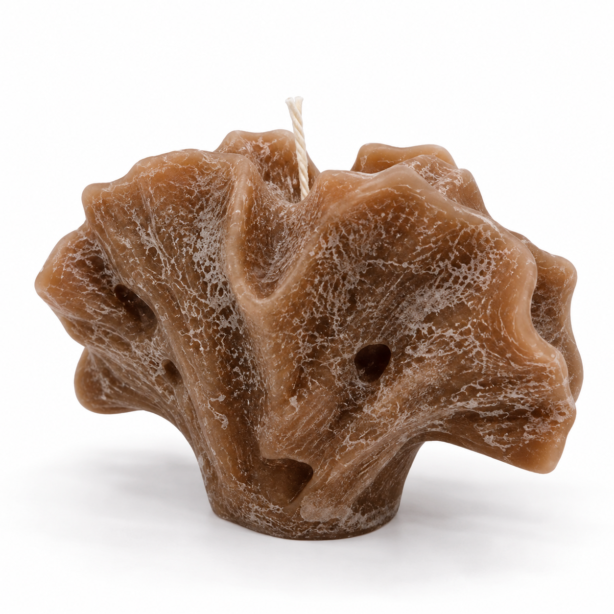 Vela Coral Abanico Moka – Galerías el Triunfo