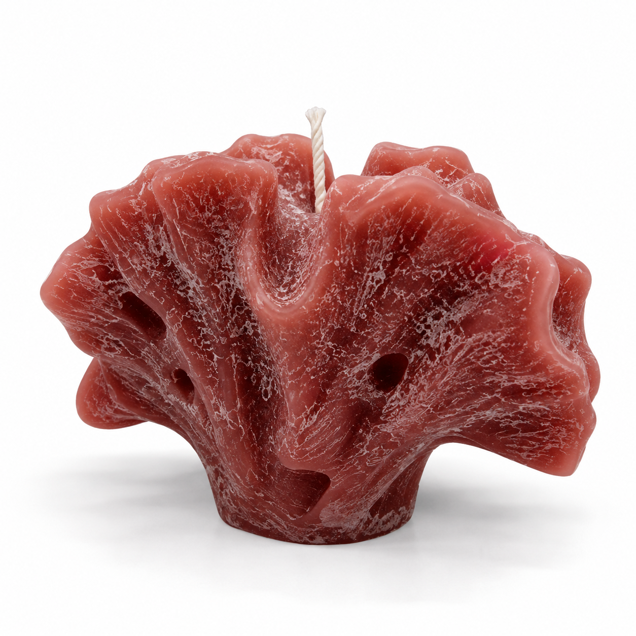 Vela Coral Abanico Rosa – Galerías el Triunfo