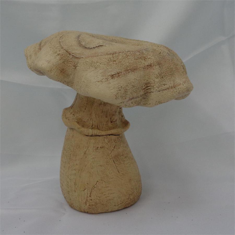 049072778814-galerias el triunfo