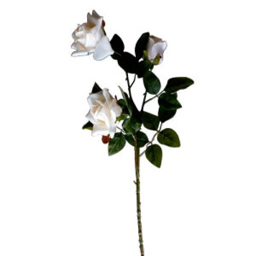 Vara con 2 rosas - Galerías el Triunfo - 022032746031