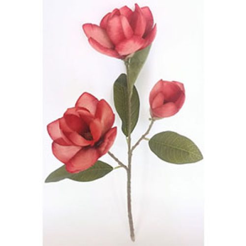 Vara con 3 Magnolias - Galerías el Triunfo - 022032746107