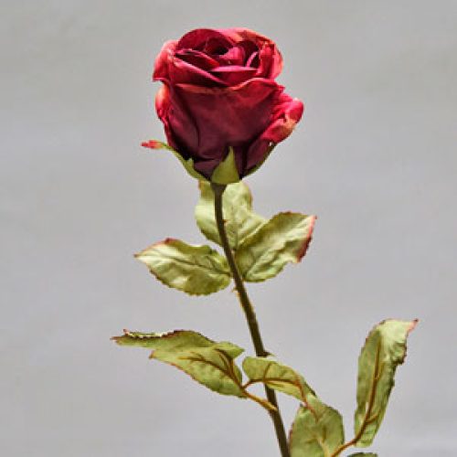 Flores secas de Rosa - Galerías el Triunfo - 025072097109