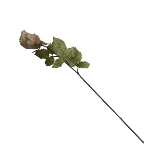Flores secas de Rosa - Galerías el Triunfo - 025072097110