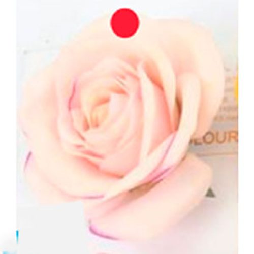 Flor con rosa color - Galerías el Triunfo - 028071005189