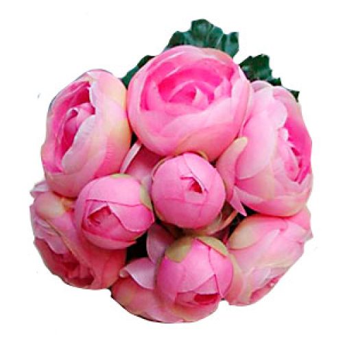 Las mejores ofertas en Pétalos de Rosa Flores secas