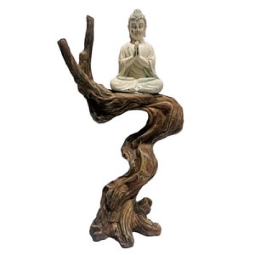 Buda sobre árbol - Galerías el Triunfo - 100307239261