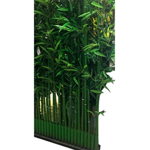 Planta de Bambu - Galerías el Triunfo - 241171736505