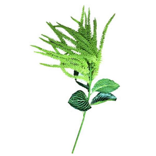 Vara de follaje verde - Galerías el Triunfo - 281001736130